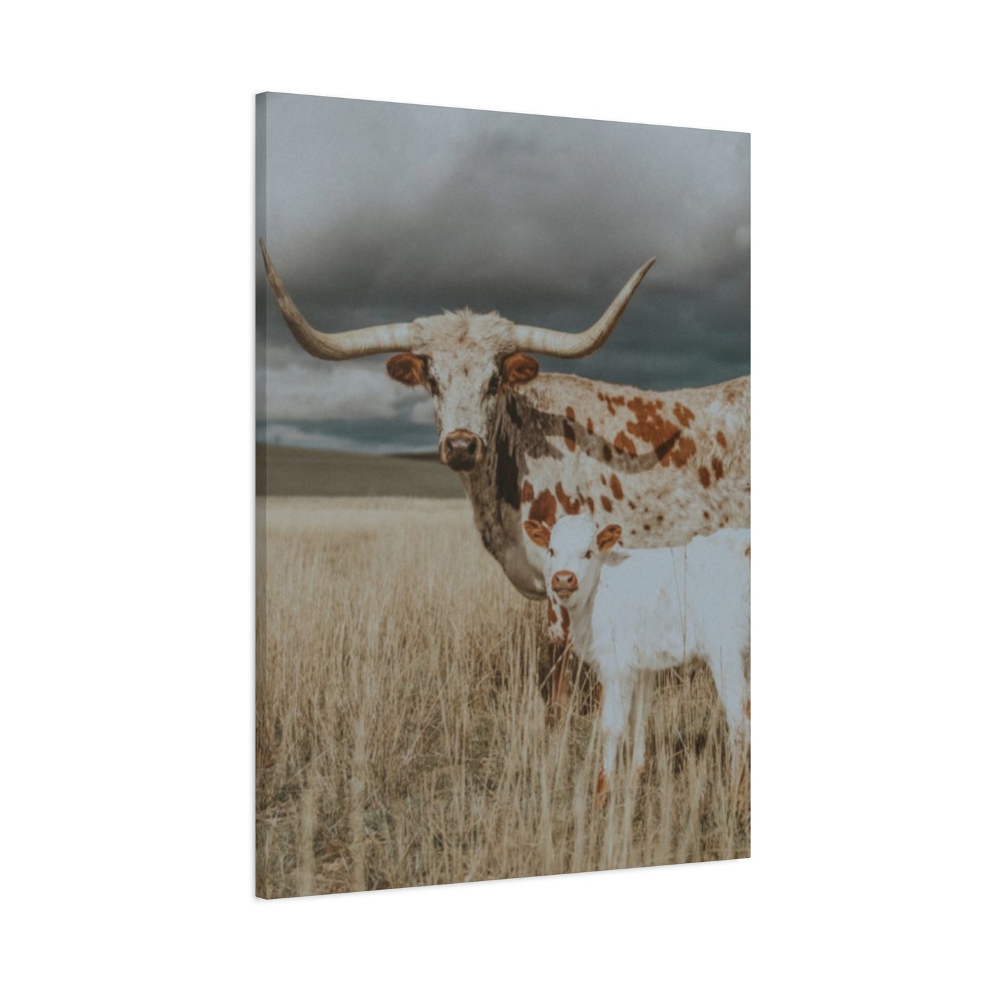 Wild Buffalo Family Longhorn Photos Wall Art & Canvas Prints