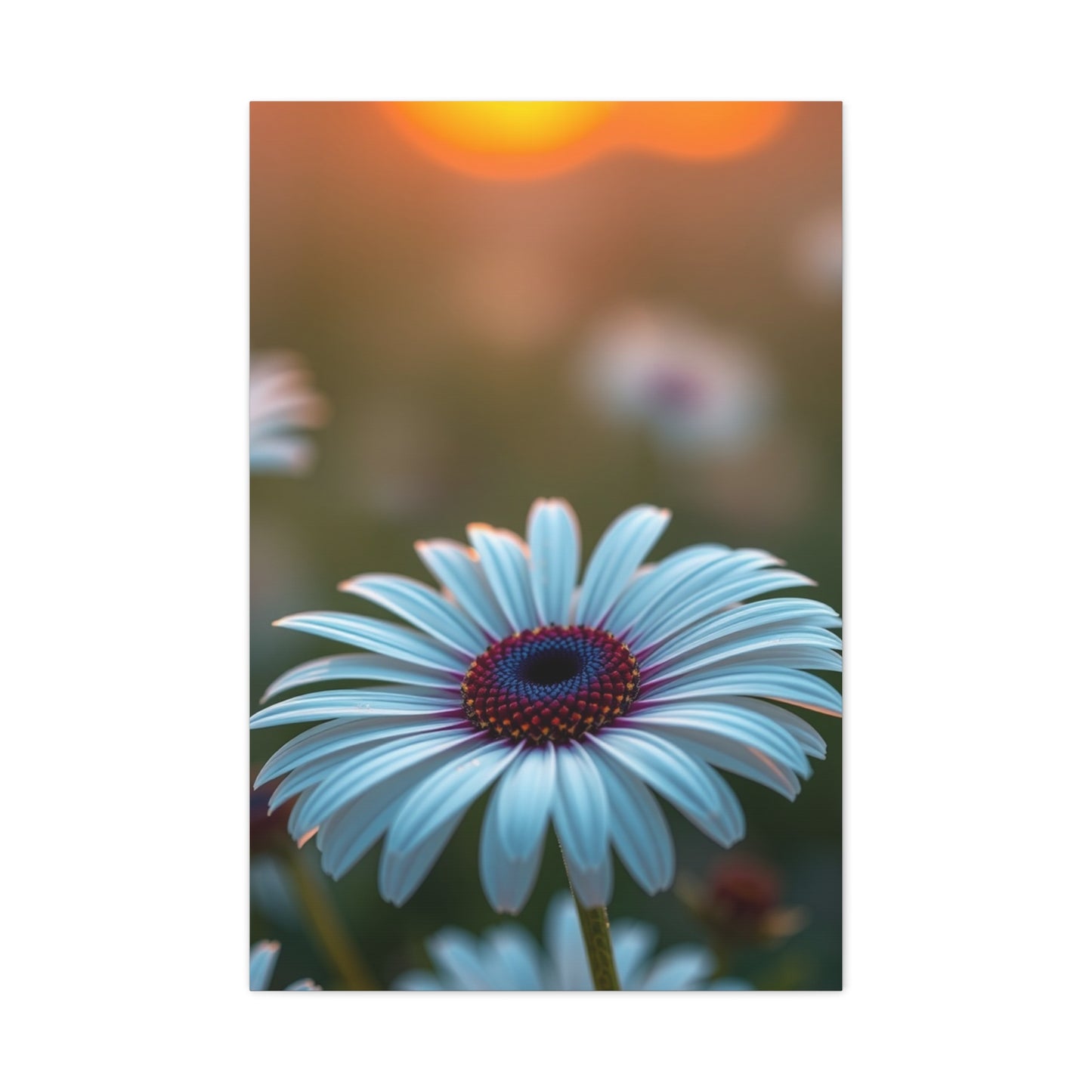 Exquisite Flora Impression