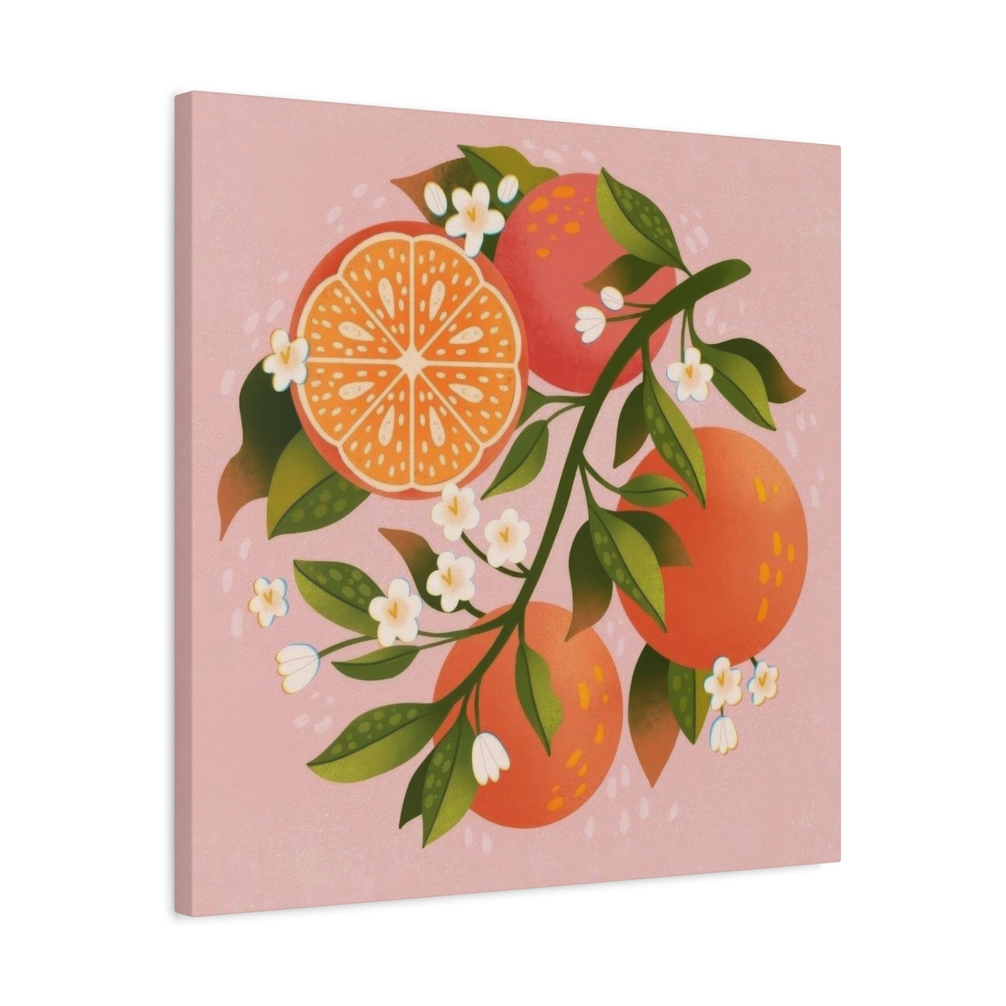 Oranges Pink BG Wall Art & Canvas Prints