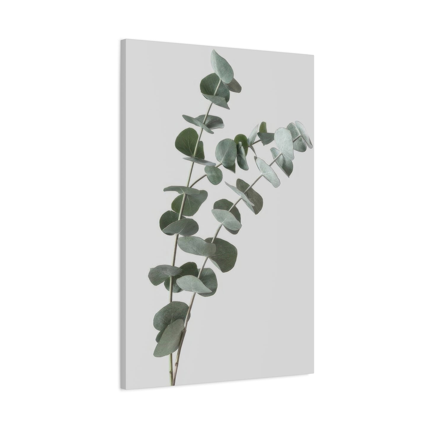 Eucalyptus Plant Dark Green Desaturate Wall Art & Canvas Prints