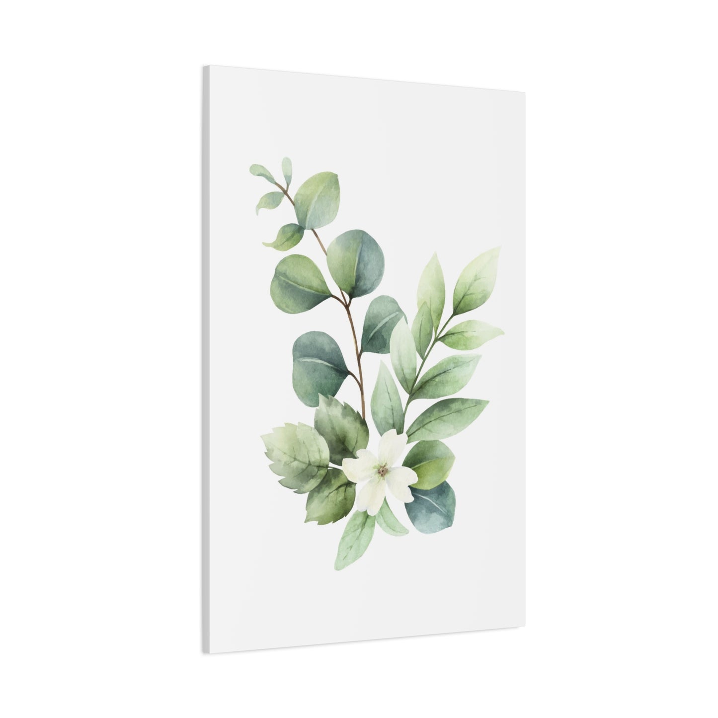 Eucalyptus Plant Light Wall Art & Canvas Prints