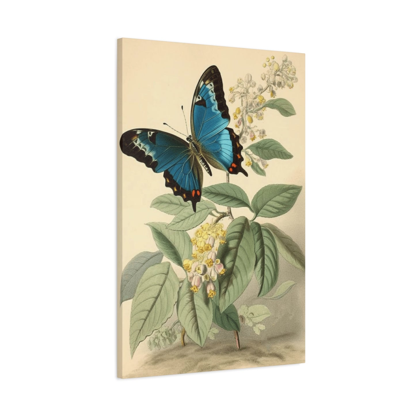 Butterfly on Brown Background Wall Art & Canvas Prints