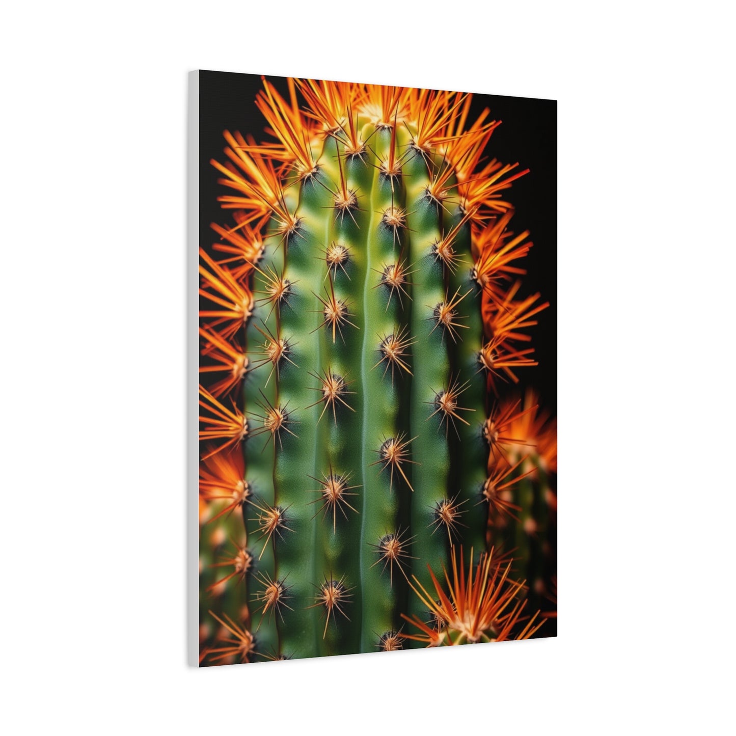 Desert Blossom Art Wall Art & Canvas Print
