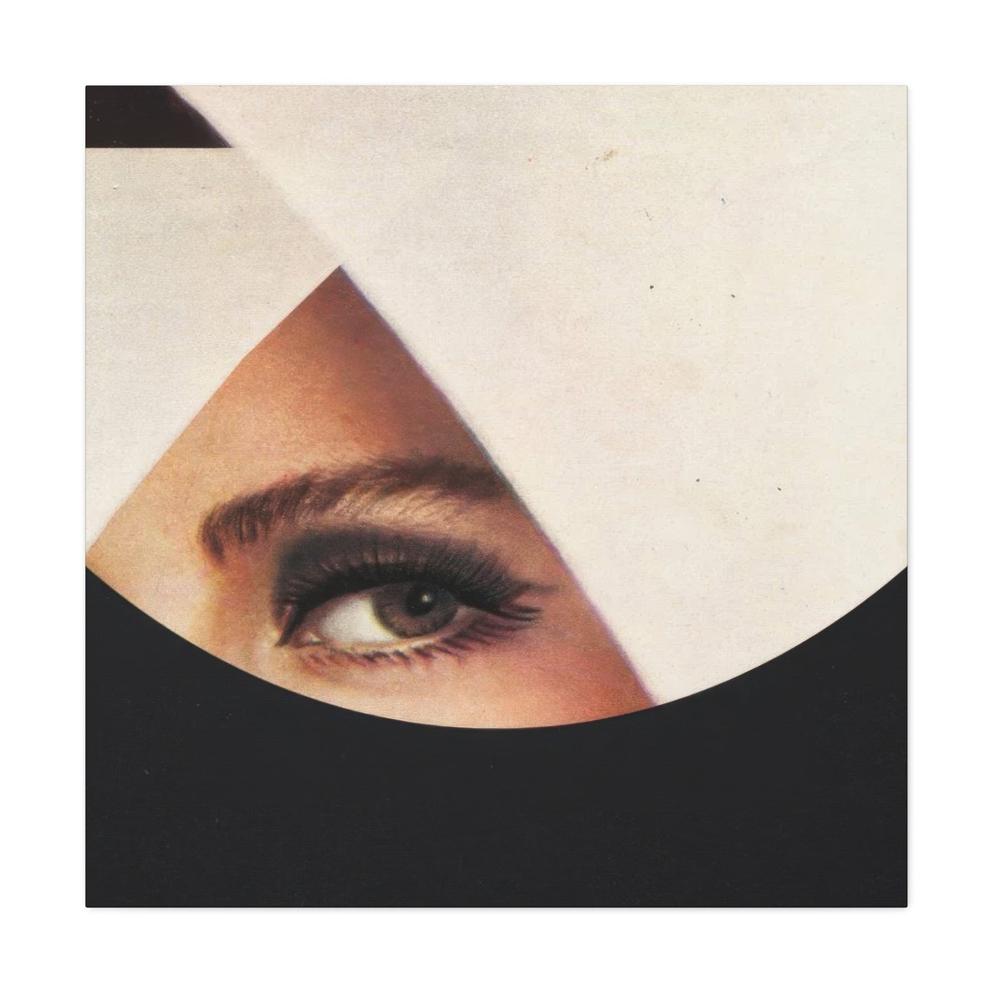 Frank Moth Mind Gazing Wall Art & Canvas Prints