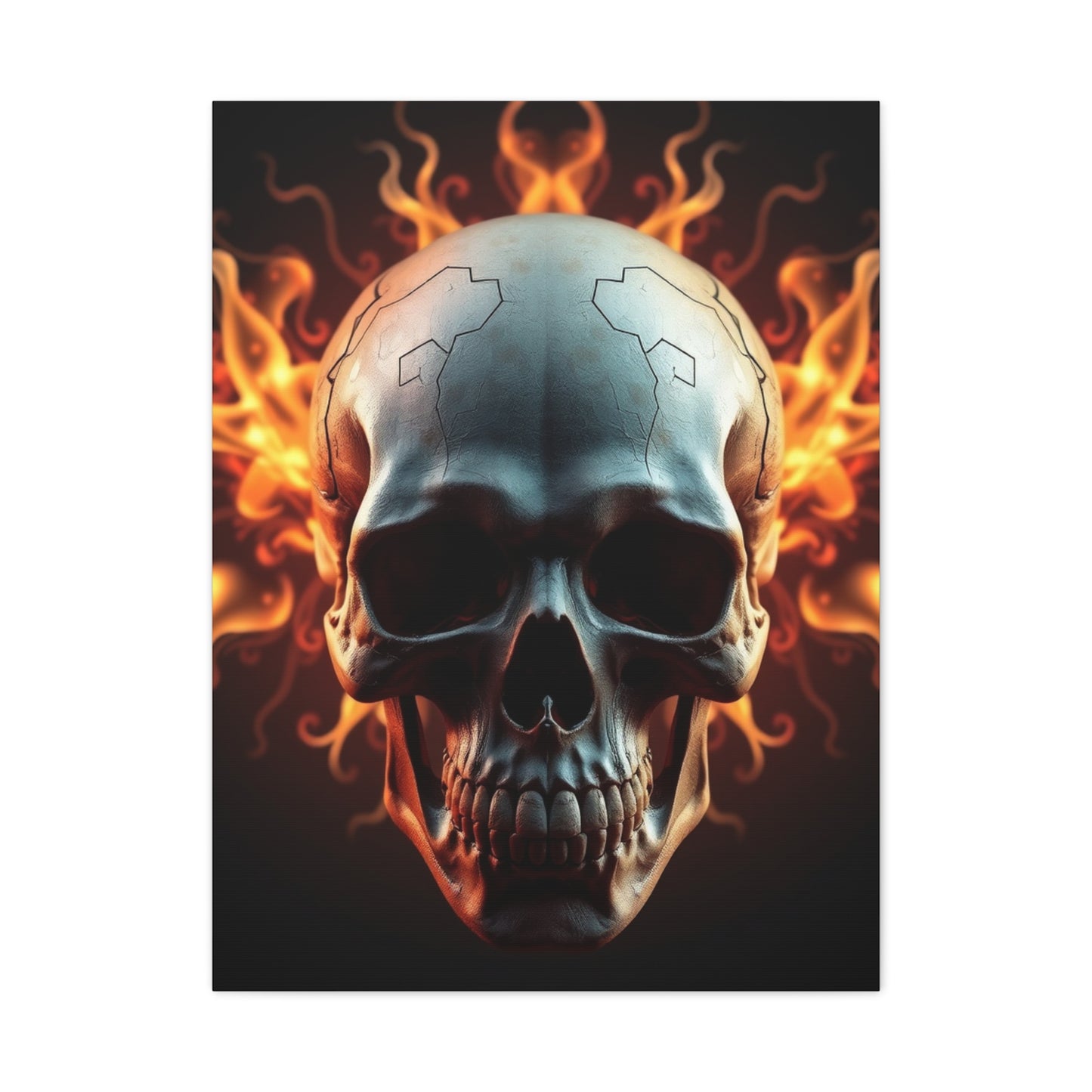 Exquisite Crania Display Wall Art & Canvas Print