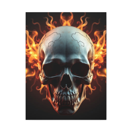 Exquisite Crania Display Wall Art & Canvas Print