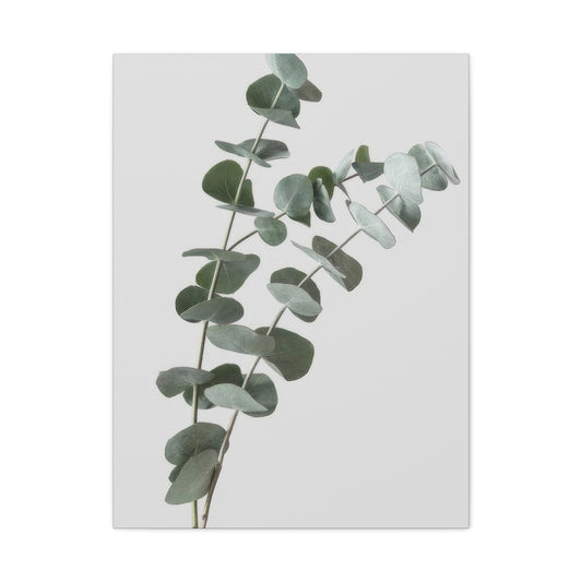 Eucalyptus Plant Dark Green Desaturate Wall Art & Canvas Prints