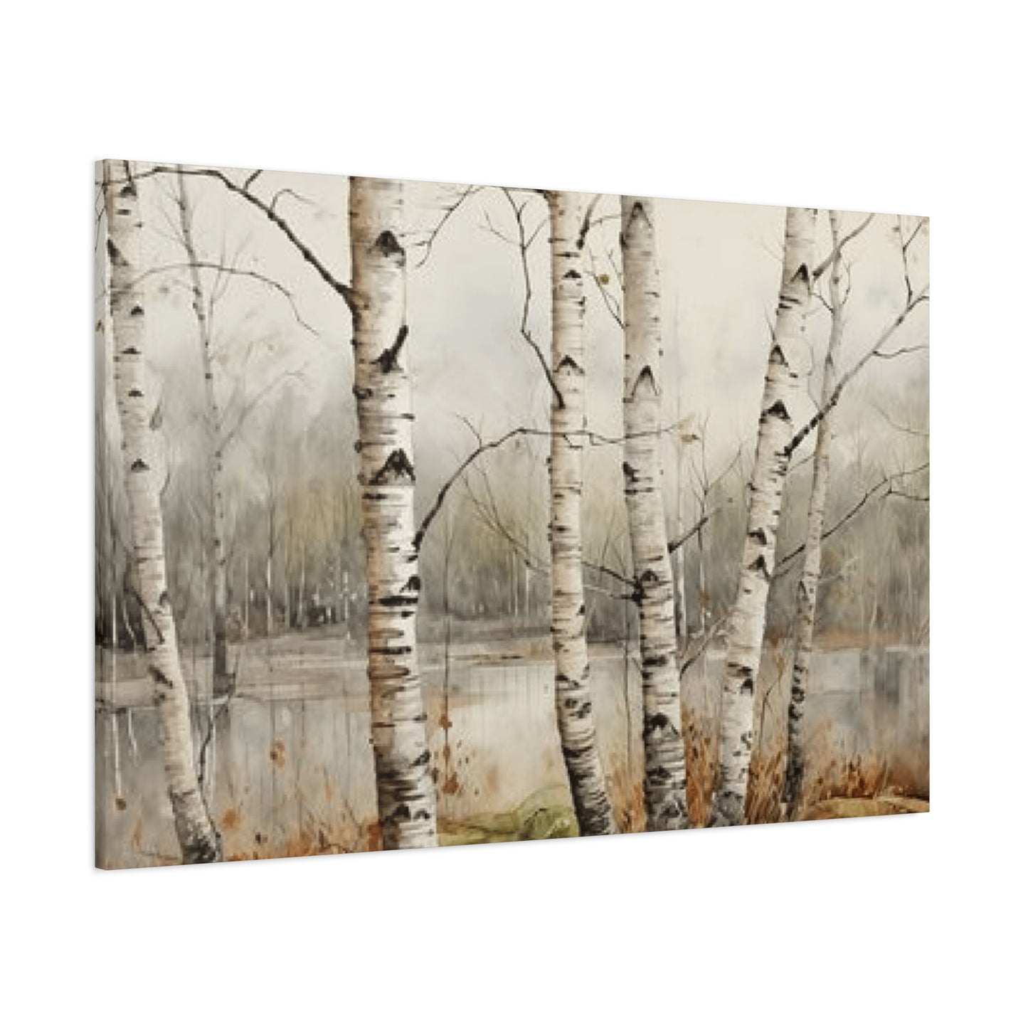 Birch Trees Beside Lake Wall Art & Canvas Prints