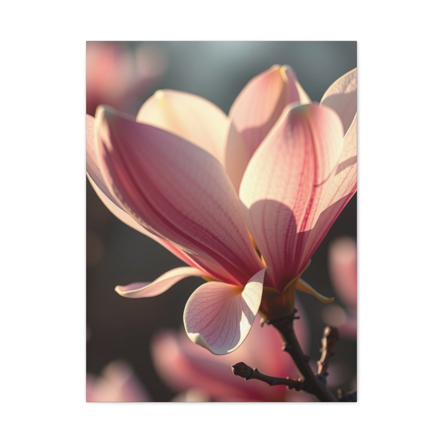 Supreme Magnolia Art Collection Wall Art & Canvas Print