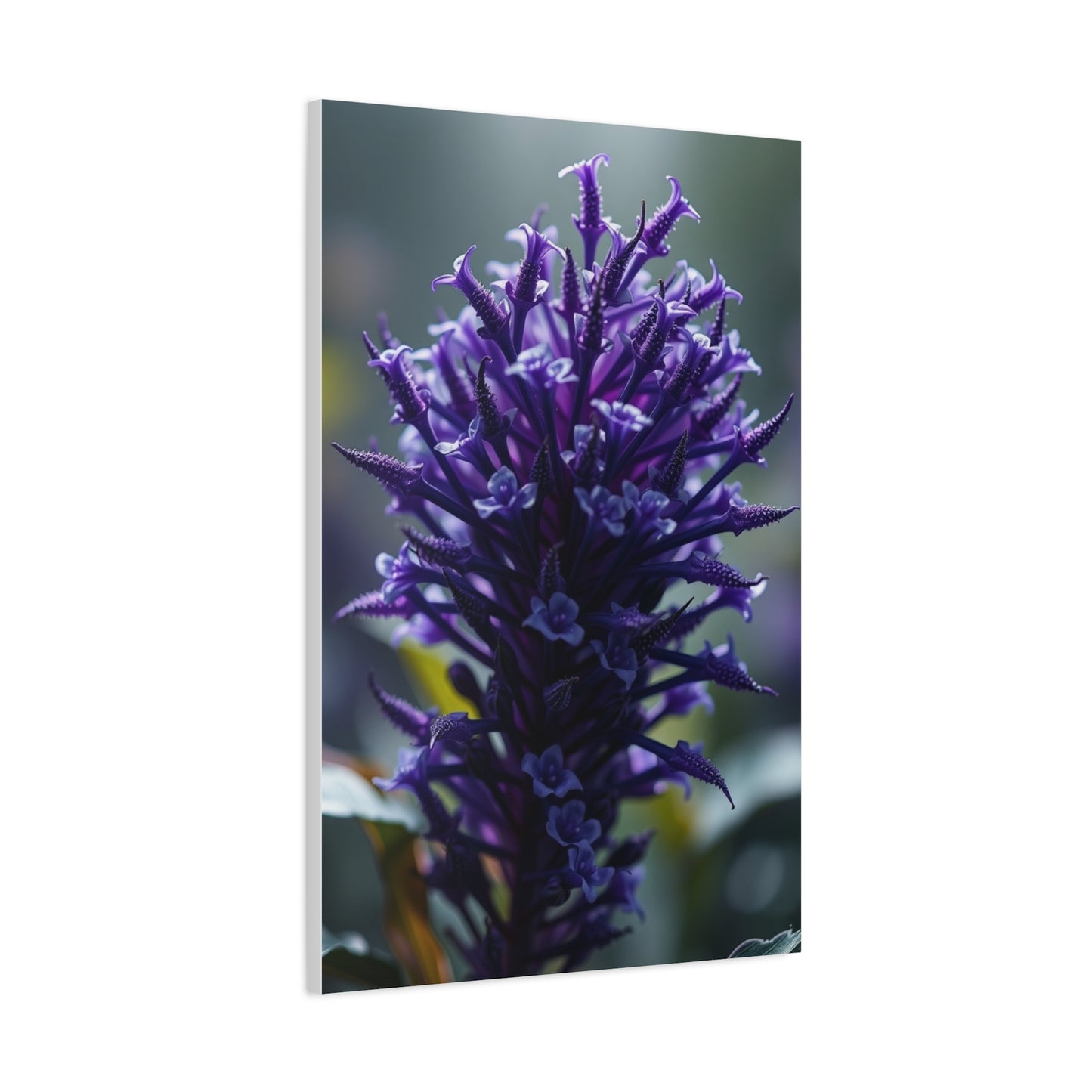 Lavender Opulence Artwork