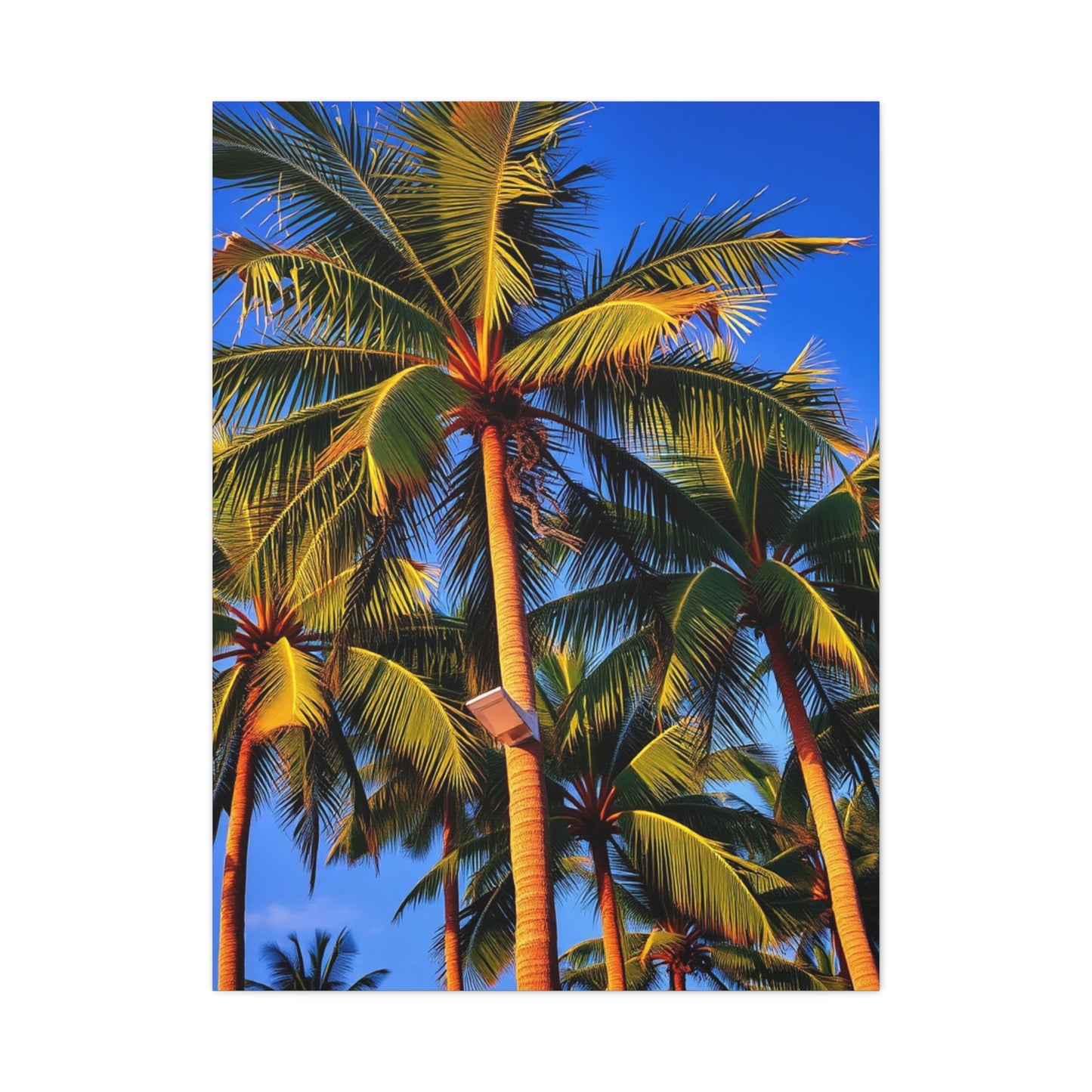 Sublime Tropics Canvas Wall Art & Canvas Print