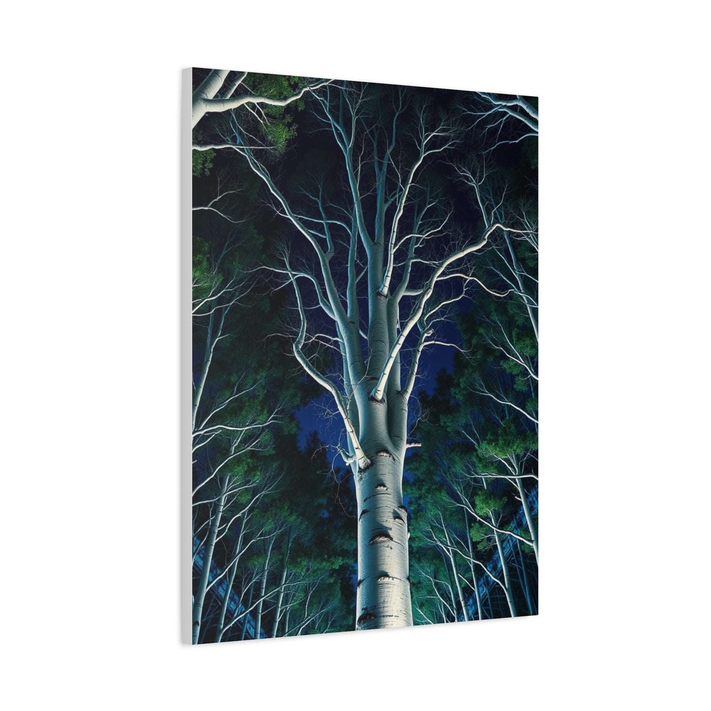 Elite Aspen Tree Art Vision Wall Art & Canvas Print