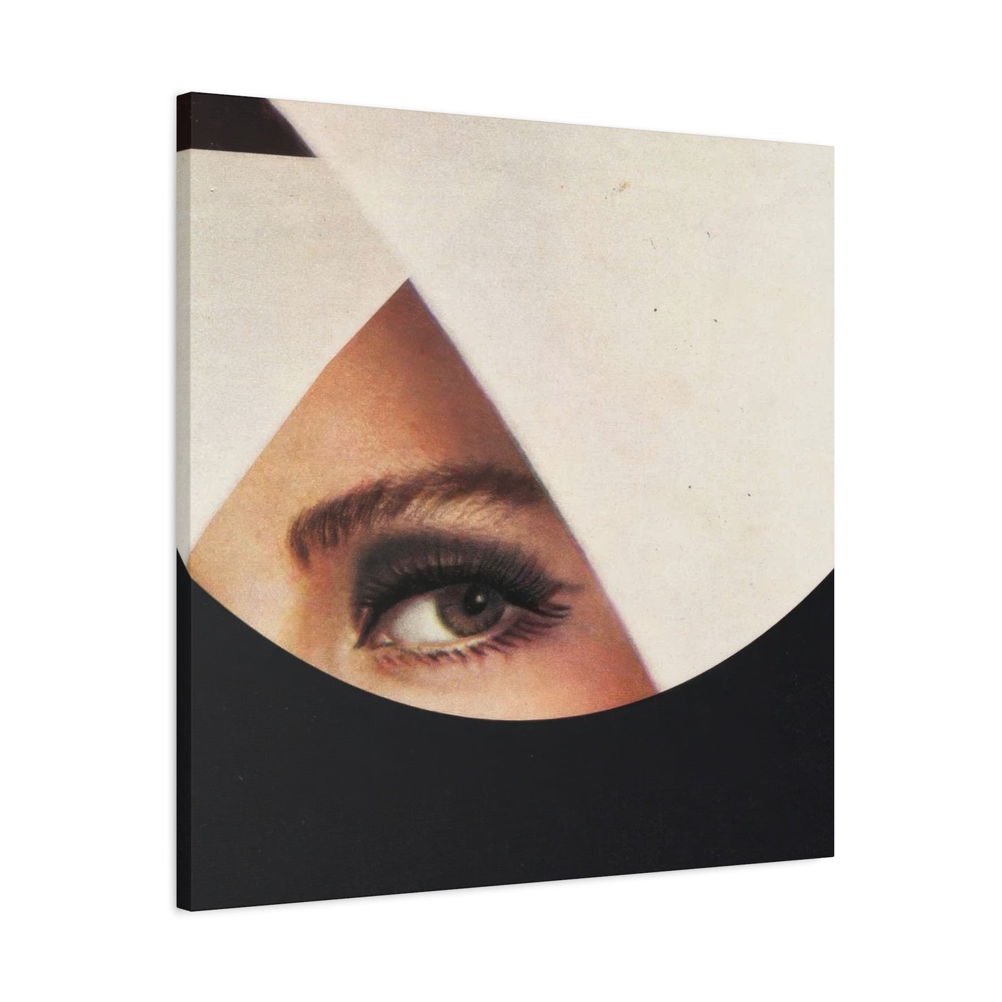 Frank Moth Mind Gazing Wall Art & Canvas Prints