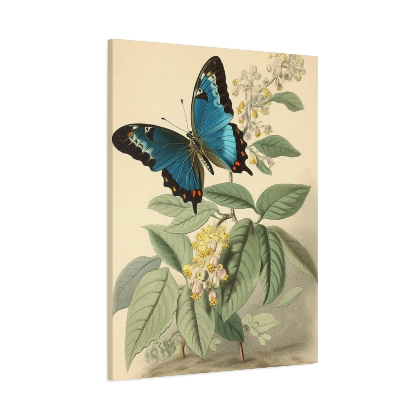 Butterfly on Brown Background Wall Art & Canvas Prints