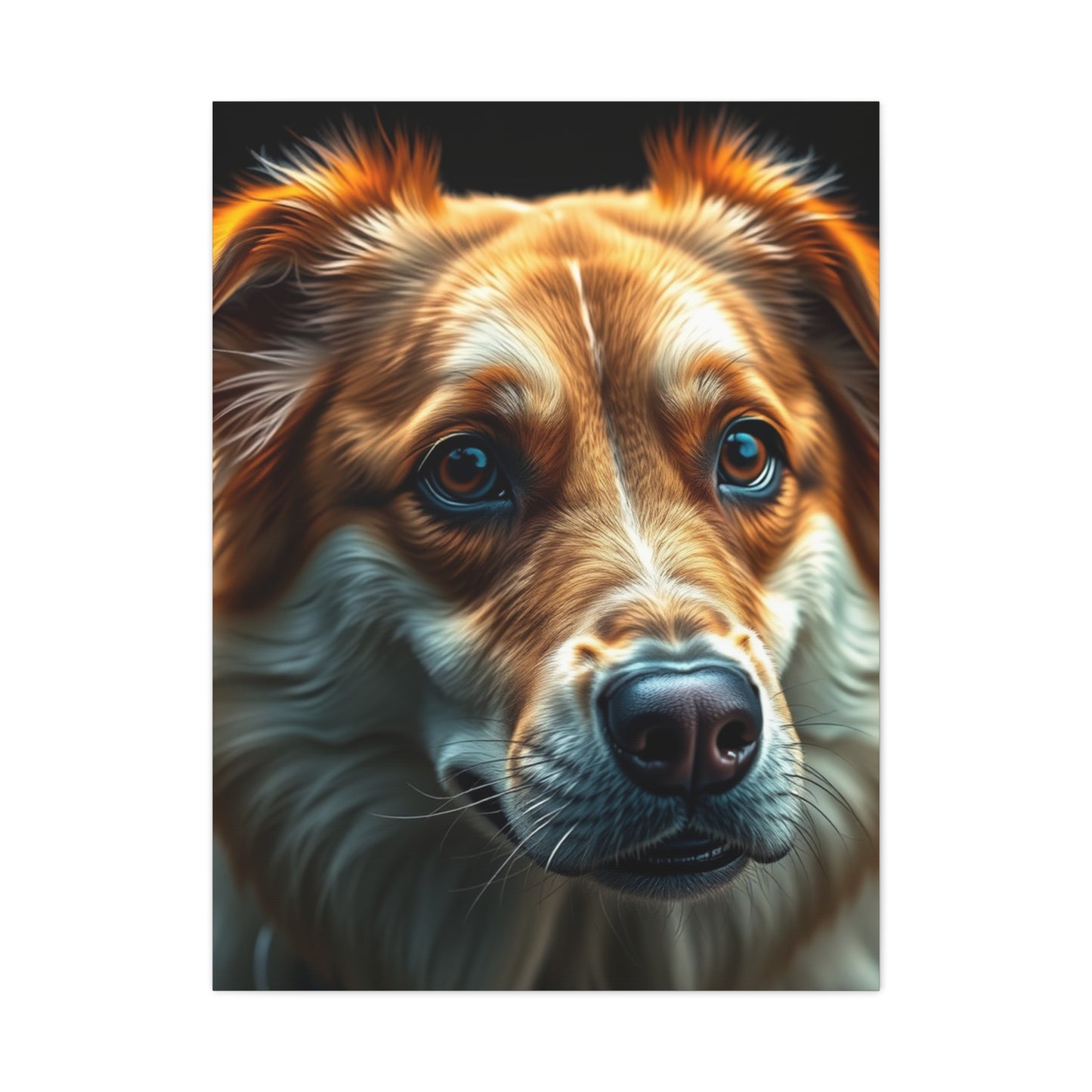 Exquisite Fido Fine Art Wall Art & Canvas Print
