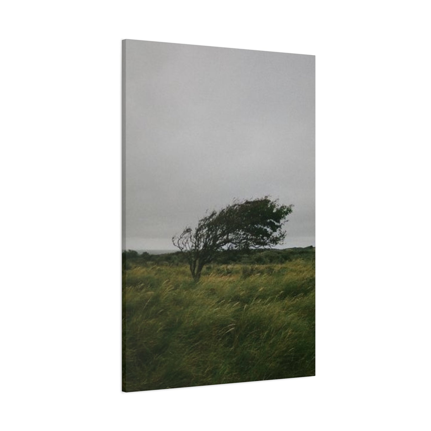 Winding Fine Wall Art & Canvas Prints