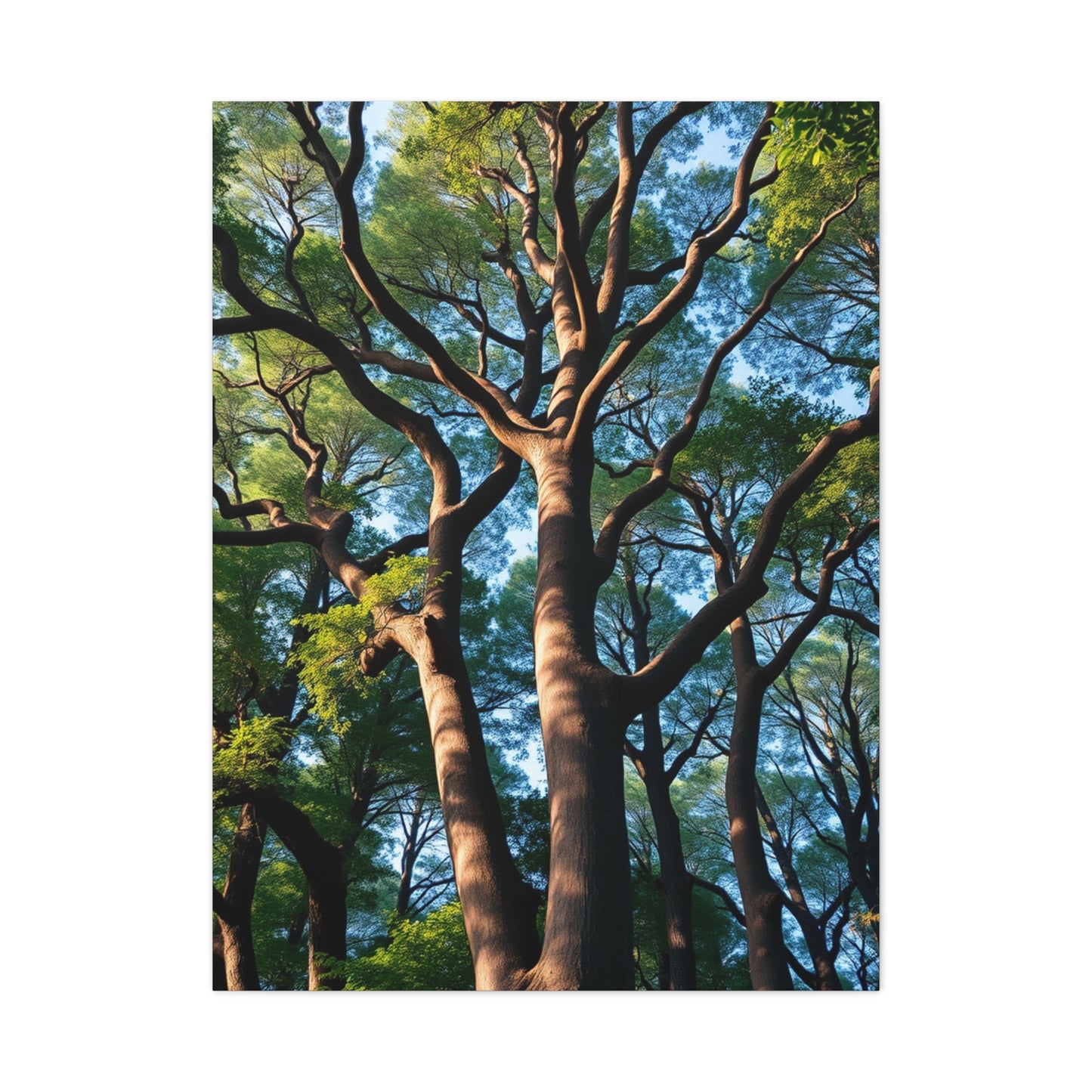 Gilded Forest Impression Wall Art & Canvas Print