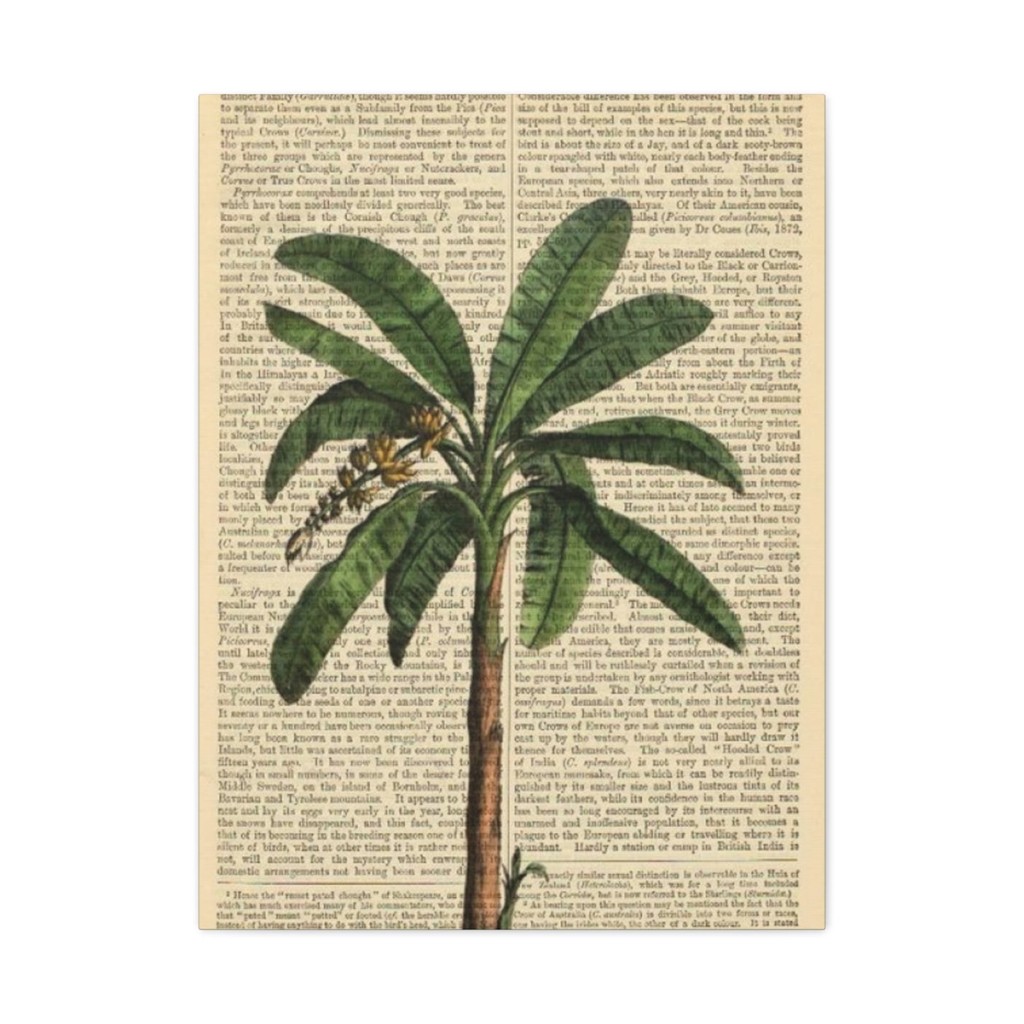 Palm Tree Painting On Vintage Paper Wall Art & Canvas Prints