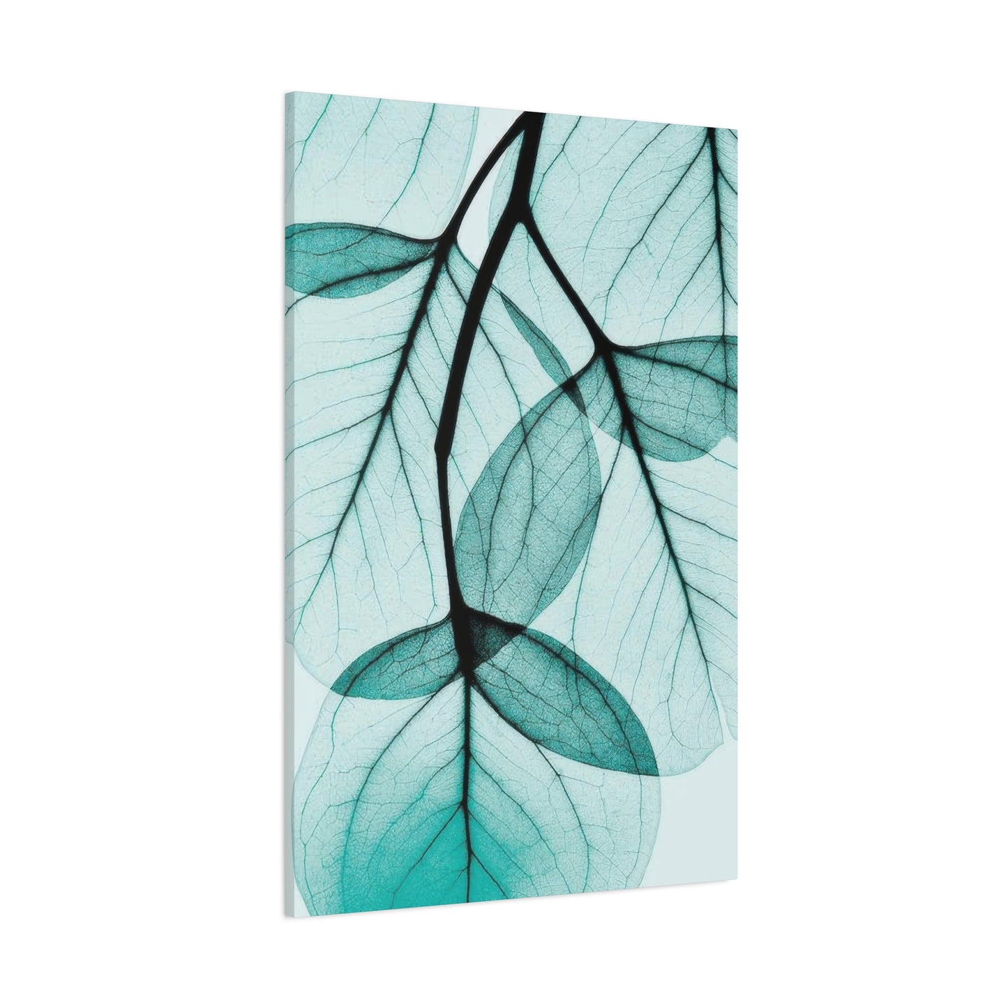 Eucalyptus Leaves Wall Art & Canvas Prints