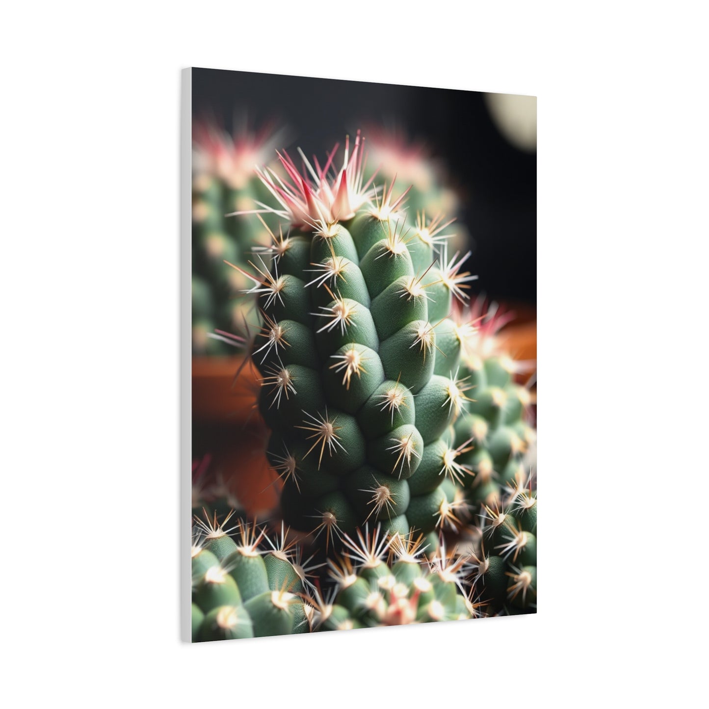 Desert Opulence Canvas Wall Art & Canvas Print