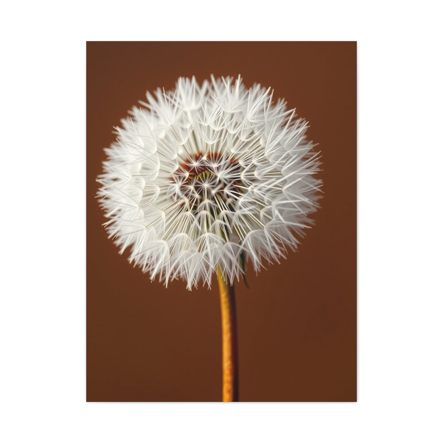 Supreme Dandelion Flower Art Collection Wall Art & Canvas Print