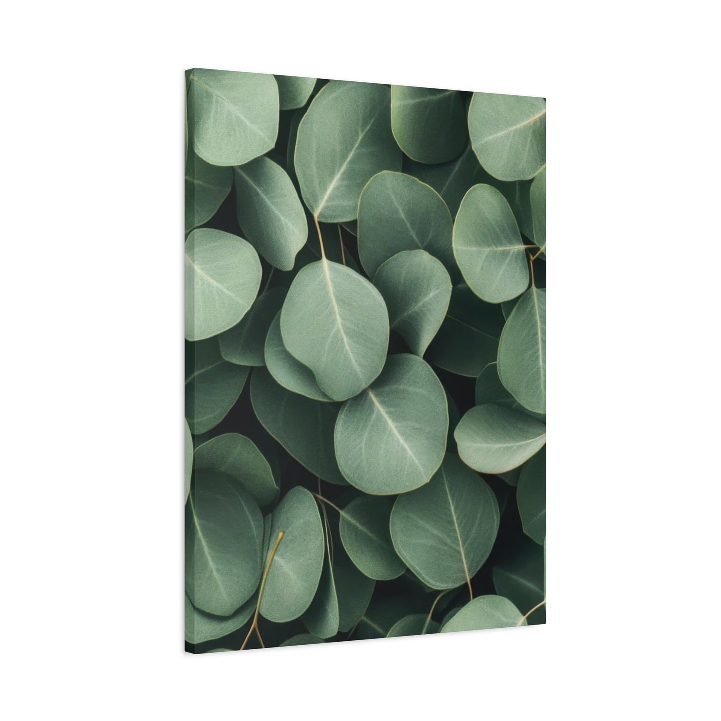 Eucalyptus Pattern 2 Wall Art & Canvas Prints
