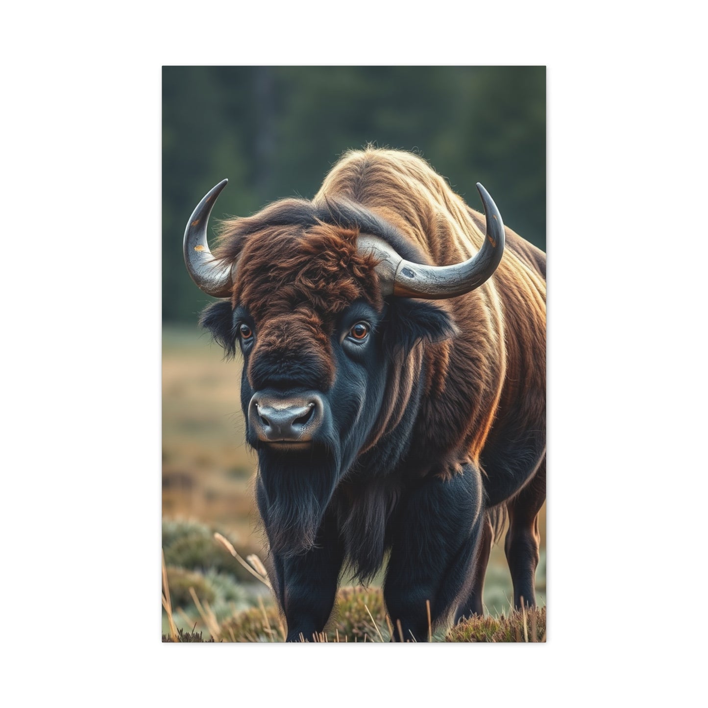 Regal Plains Portraiture Wall Art & Canvas Print