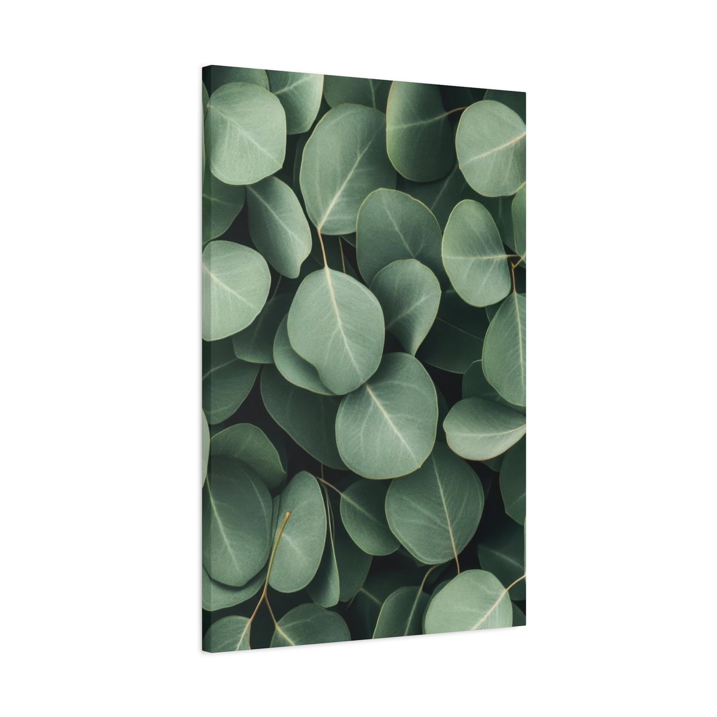 Eucalyptus Pattern 2 Wall Art & Canvas Prints
