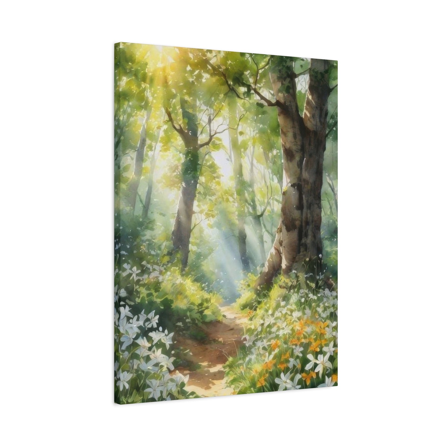 Forest Path Lit Wall Art & Canvas Prints