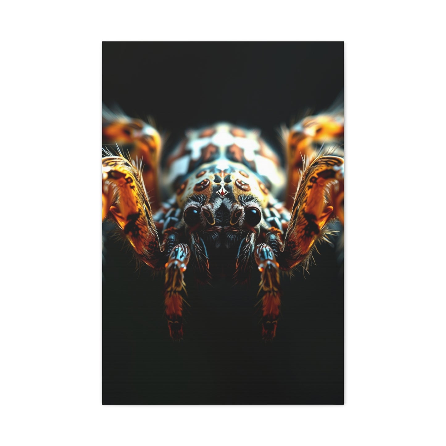 Arachnid Elegance Canvas Wall Art & Canvas Print