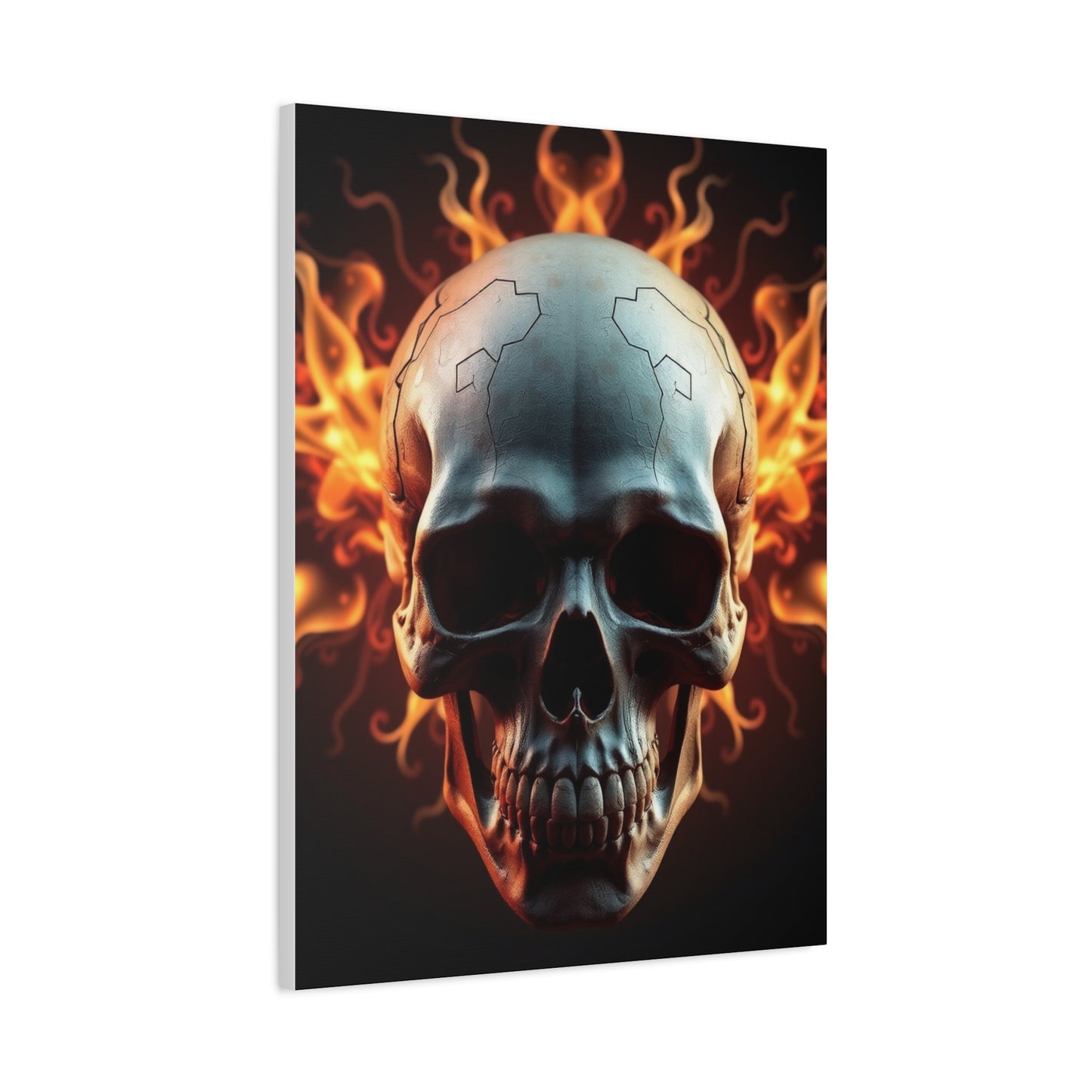 Exquisite Crania Display Wall Art & Canvas Print