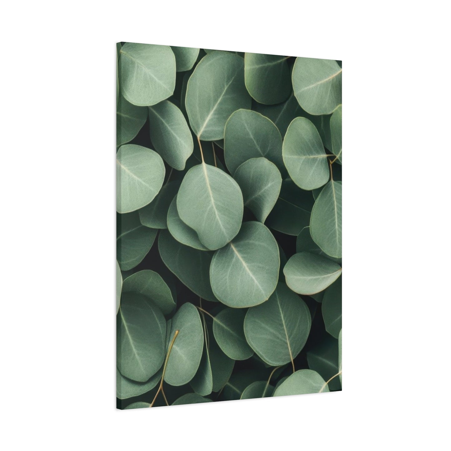 Eucalyptus Pattern 2 Wall Art & Canvas Prints