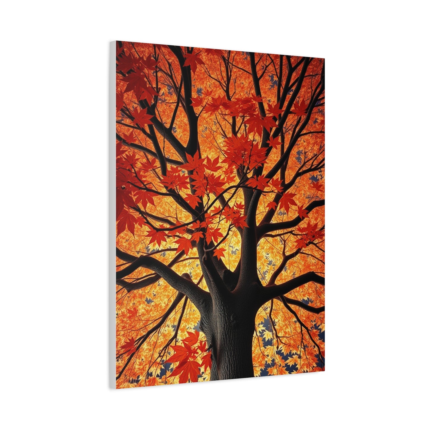 Collection Maple Tree Art Art Wall Art & Canvas Print