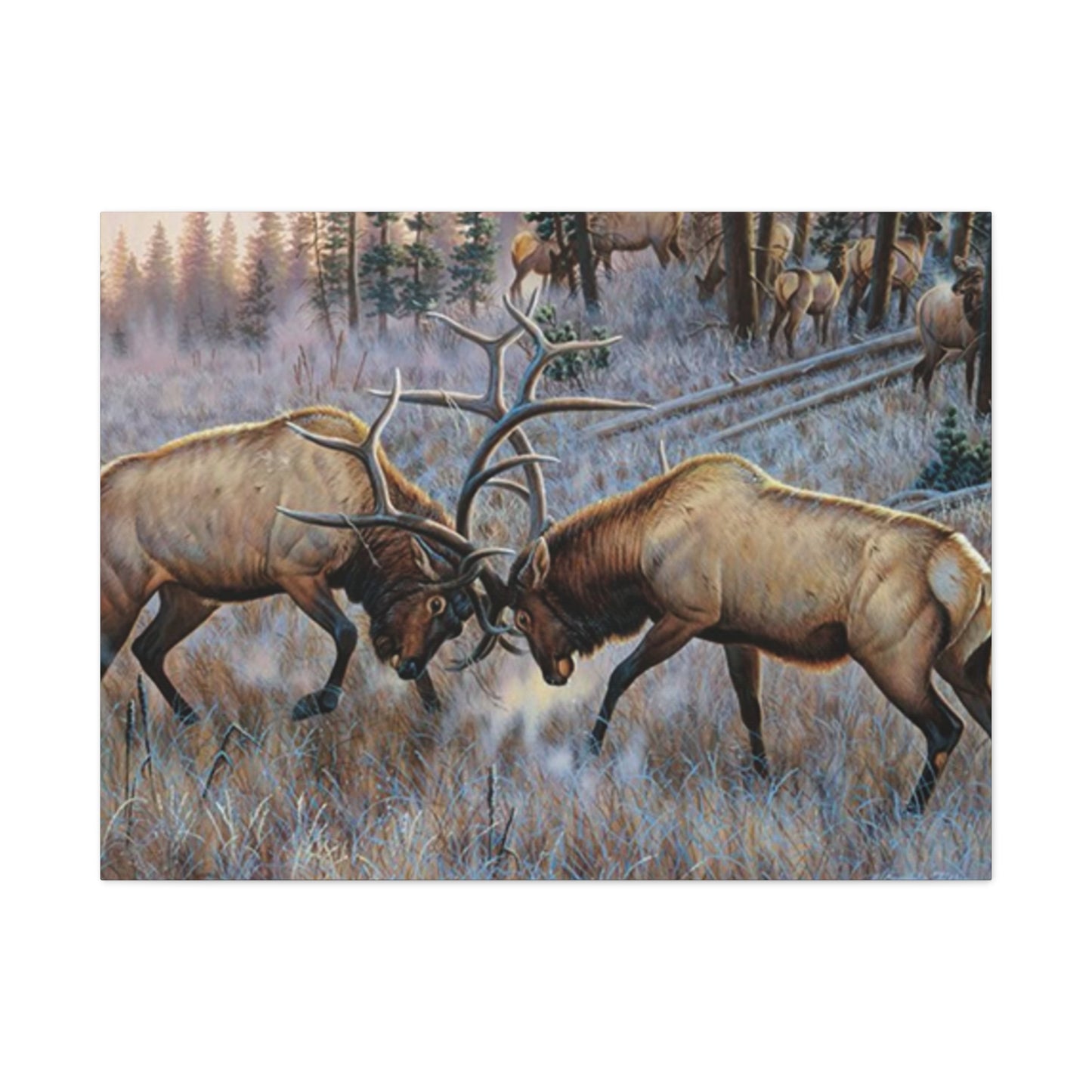 Reindeer Fighting Painting Wall Art & Canvas Prints