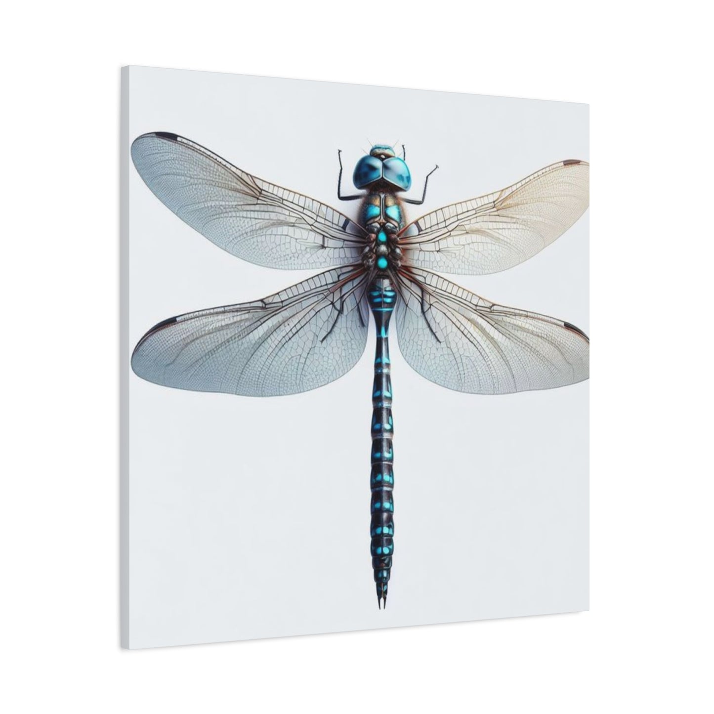 Blue Dragonfly Wall Art & Canvas Prints