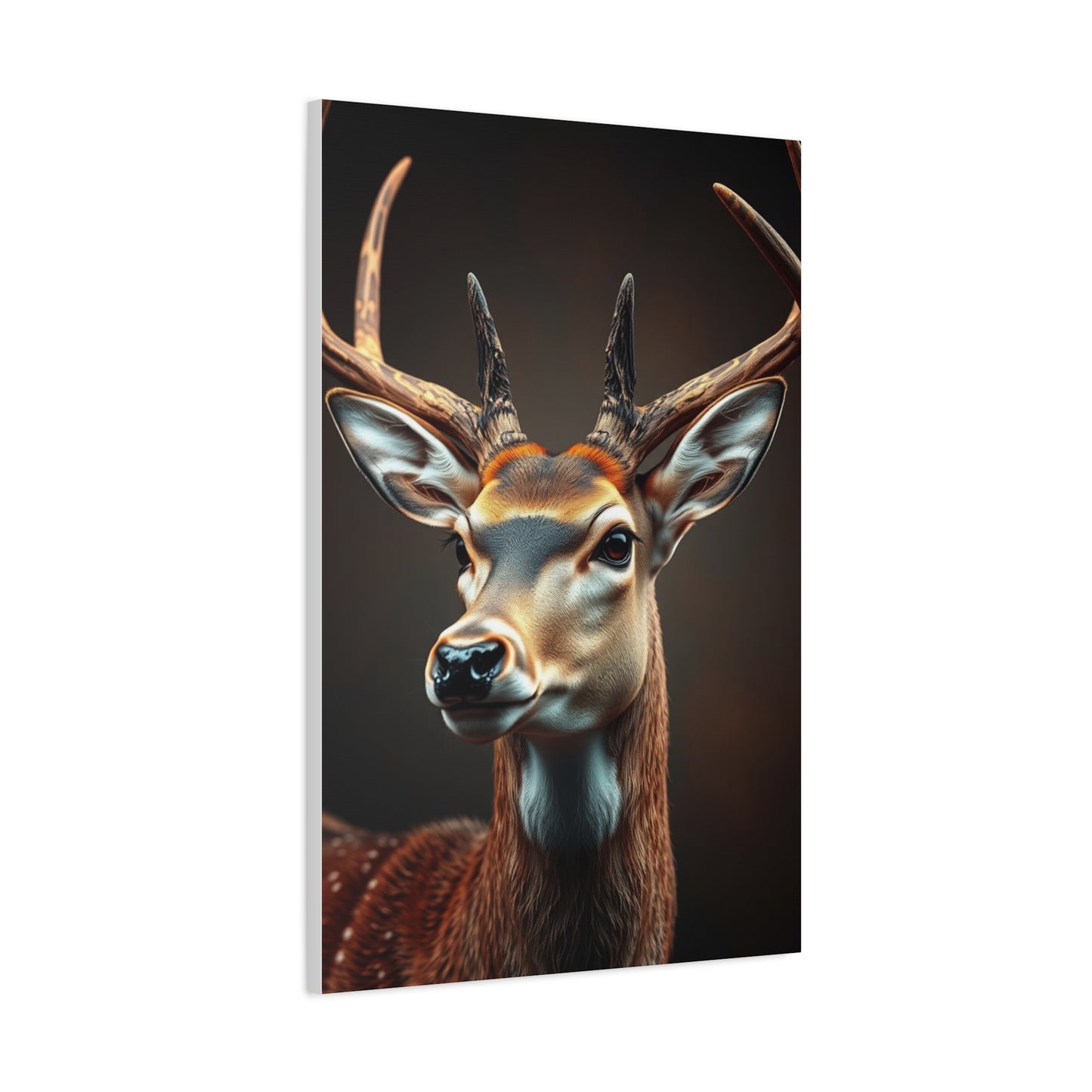 Luminous Buck Composition Wall Art & Canvas Print