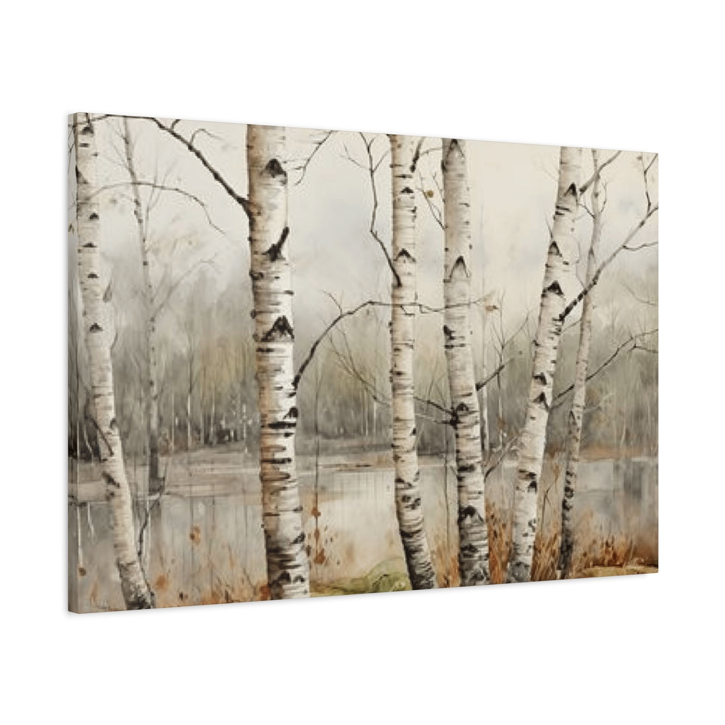 Birch Trees Beside Lake Wall Art & Canvas Prints