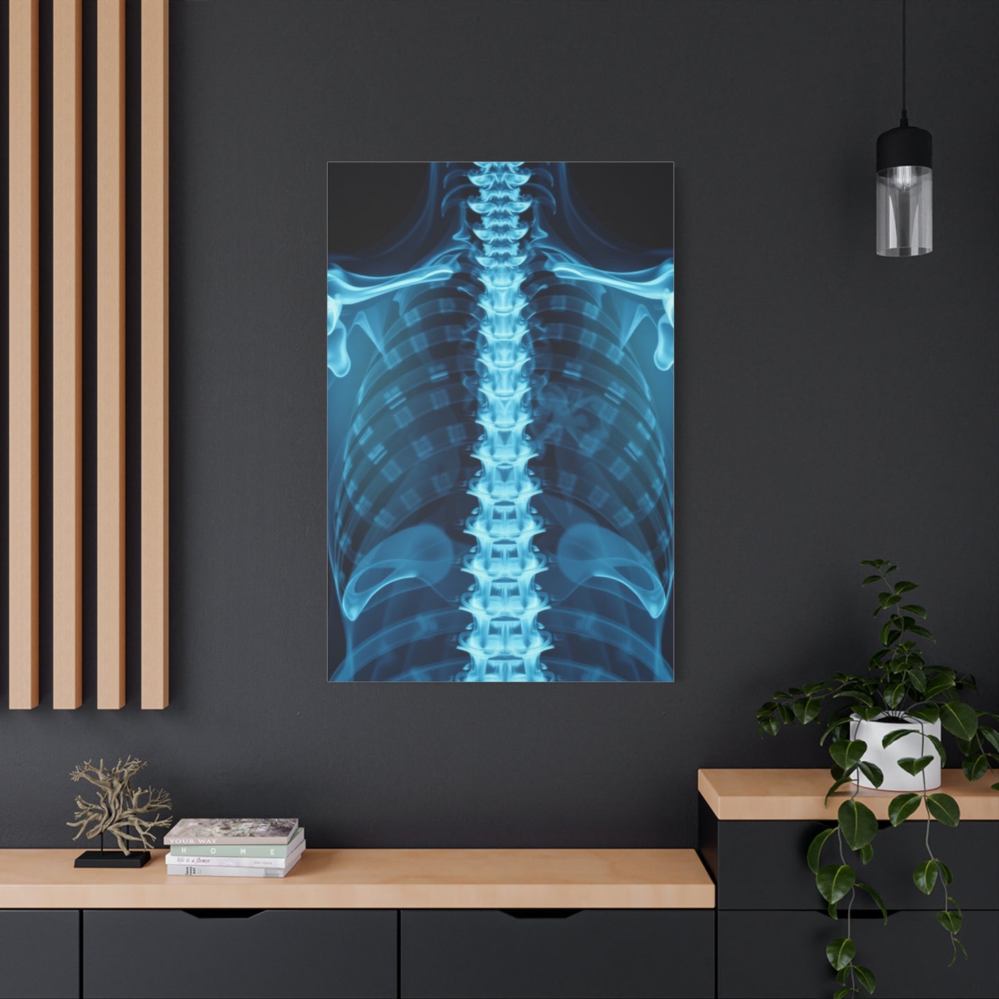 X-Ray Photography Art Supreme Gallery Wall Art & Canvas Print