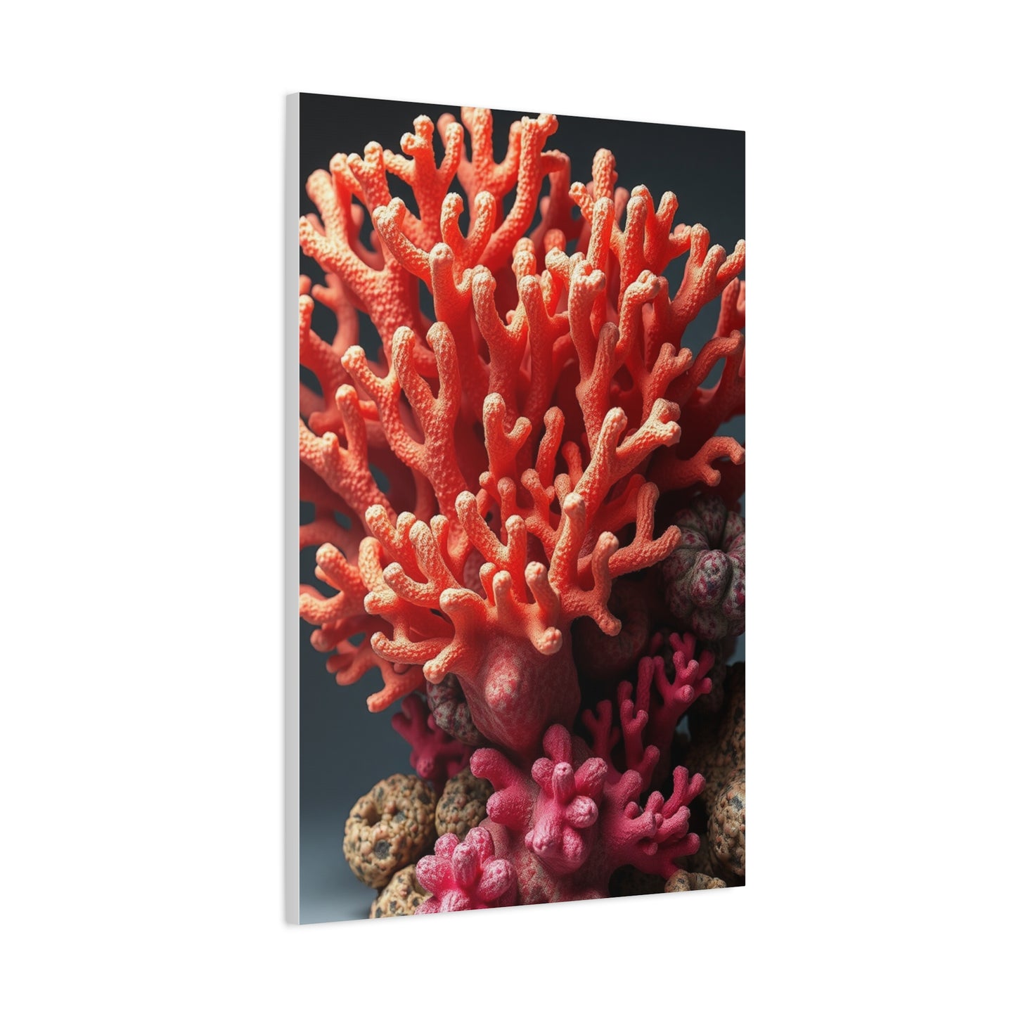 Collection Coral Art Art Wall Art & Canvas Print