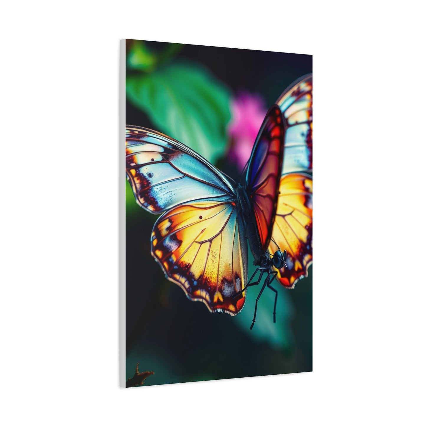 Exquisite Lepidoptera Panorama Wall Art & Canvas Print