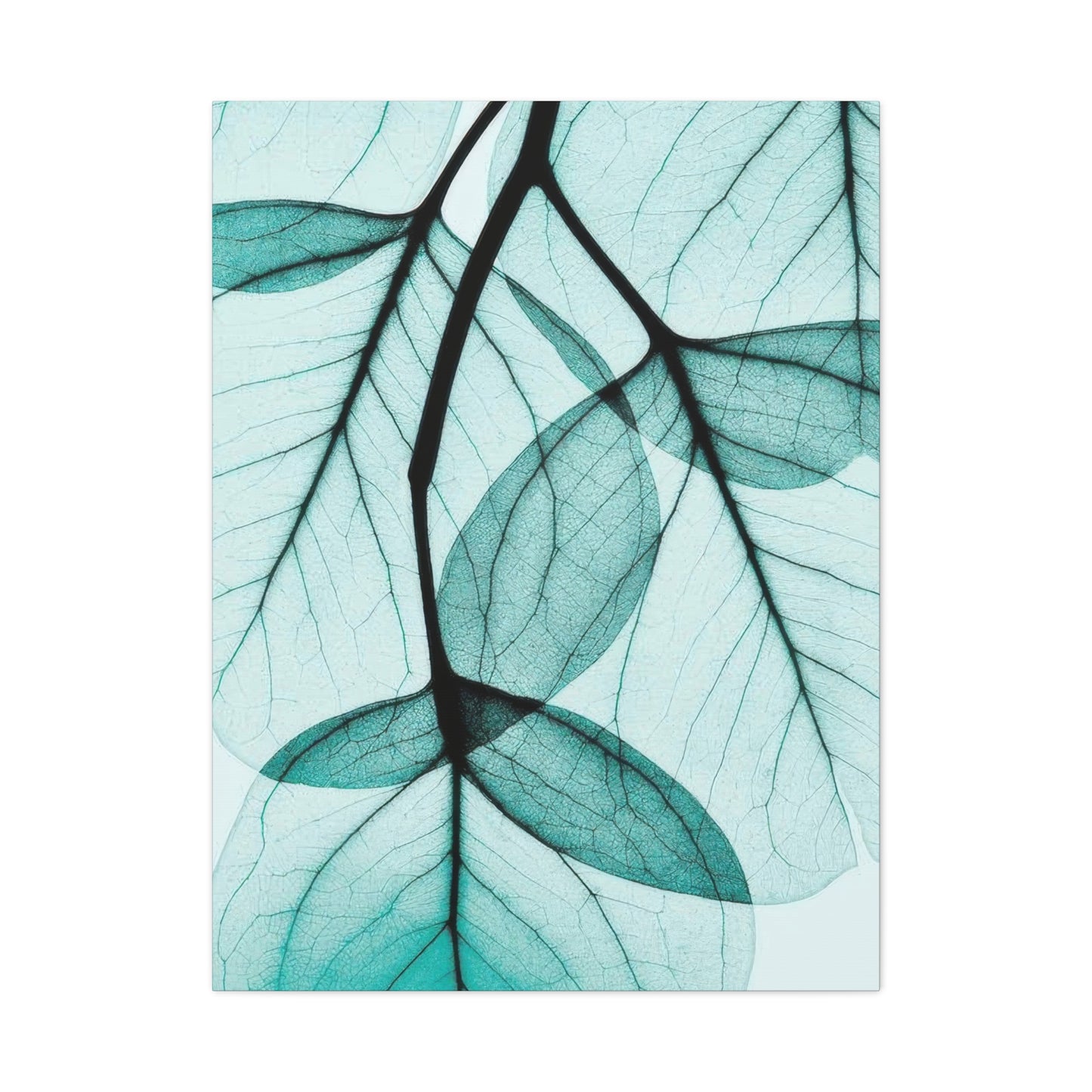 Eucalyptus Leaves Wall Art & Canvas Prints