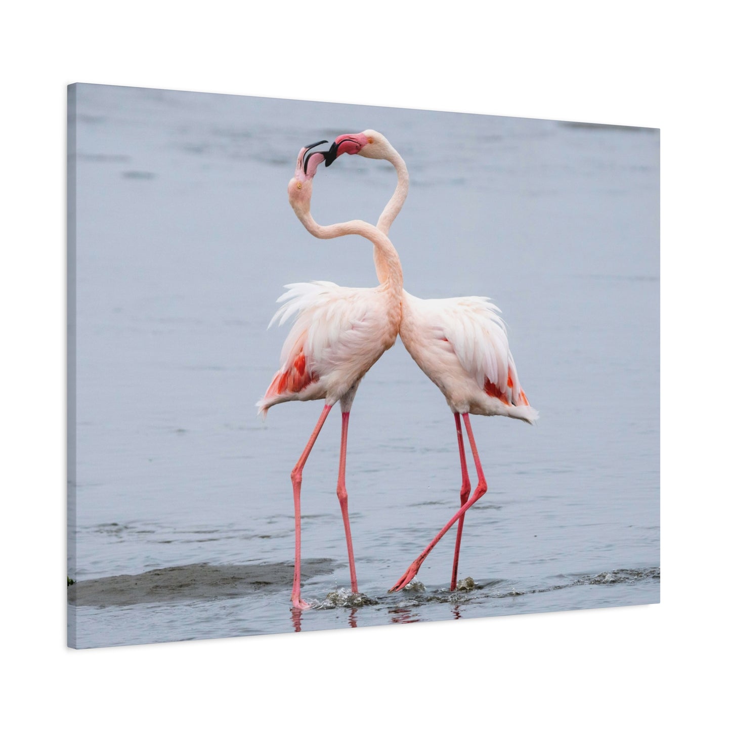 Pink Flamingo Love Wall Art & Canvas Prints