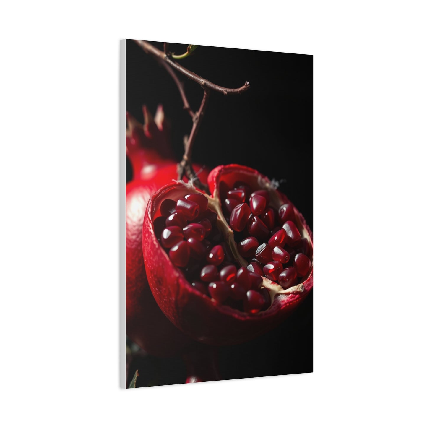 Supreme Pomegranate Noir Wall Art Collection Wall Art & Canvas Print
