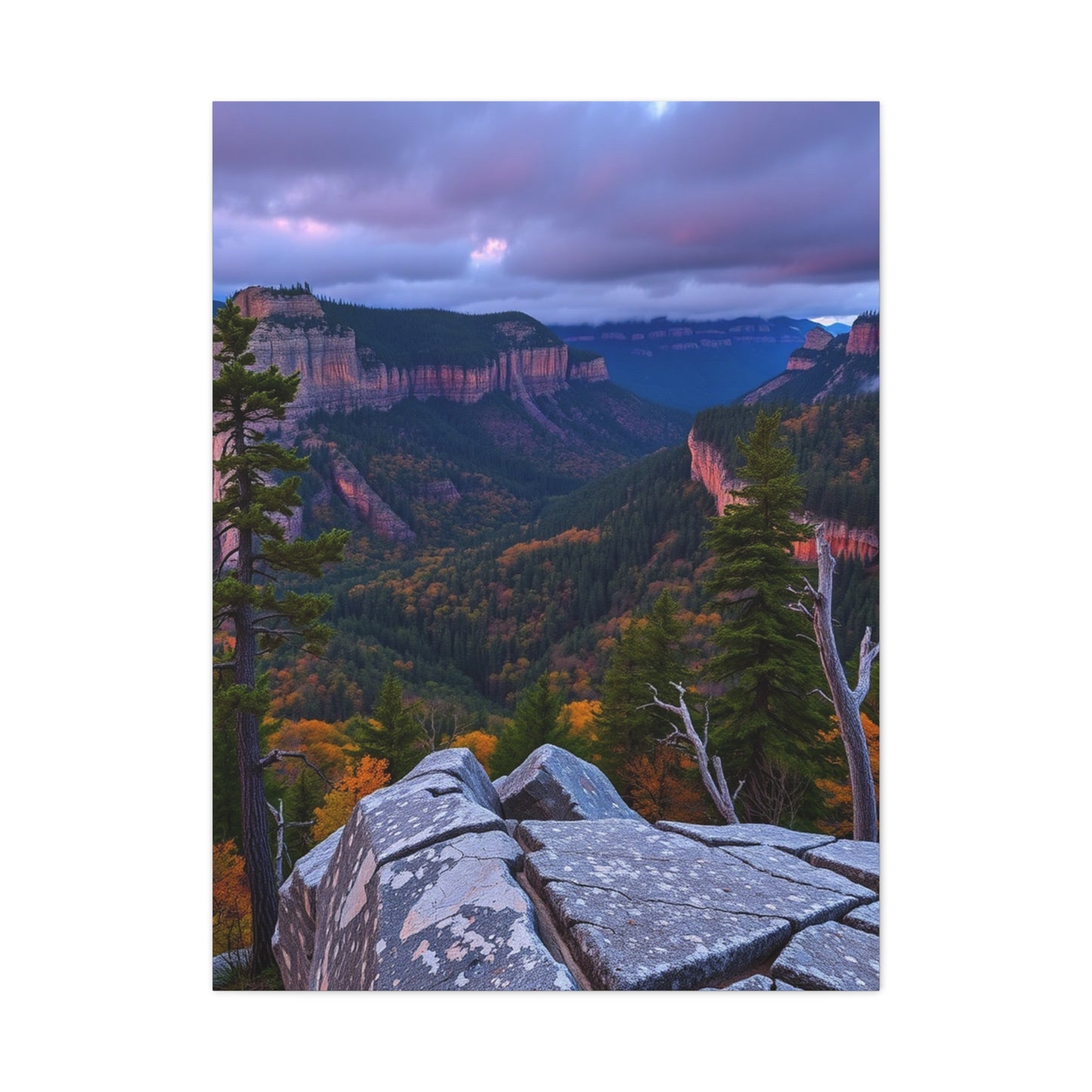 Great Smoky Mountain National Park Art Luxury Canvas Wall Art & Canvas Print
