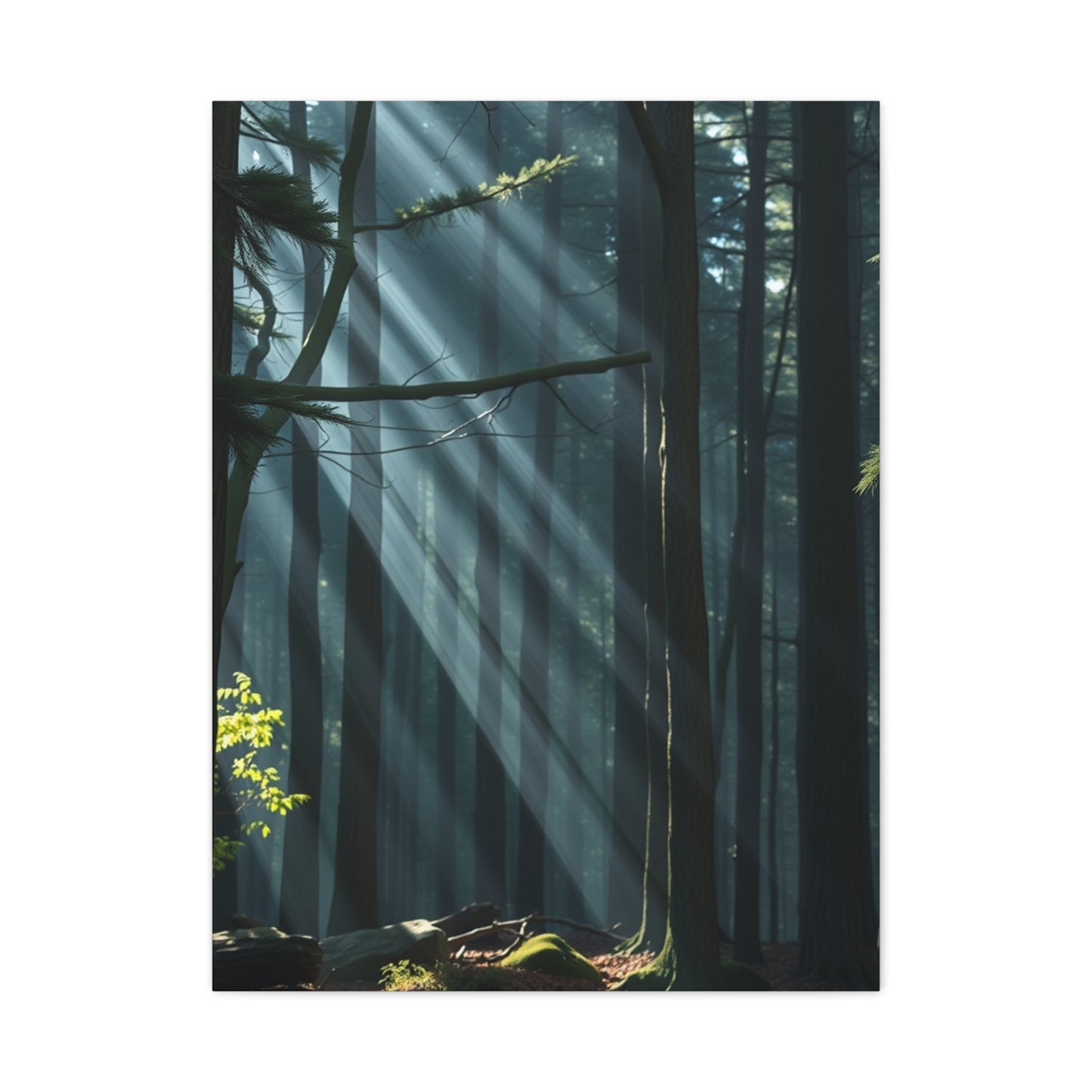 Woodland Serenity Canvas Wall Art & Canvas Print