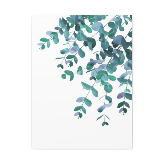 Eucalyptus Creeping Down Top Right Wall Art & Canvas Prints