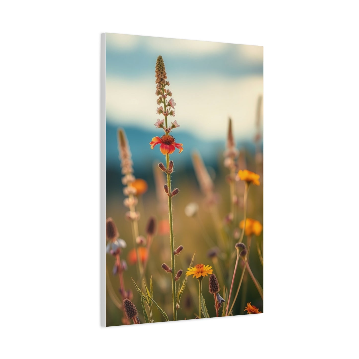 Supreme Wildflowers Art Collection Wall Art & Canvas Print