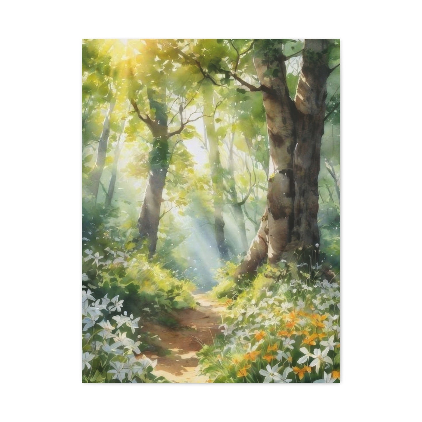 Forest Path Lit Wall Art & Canvas Prints