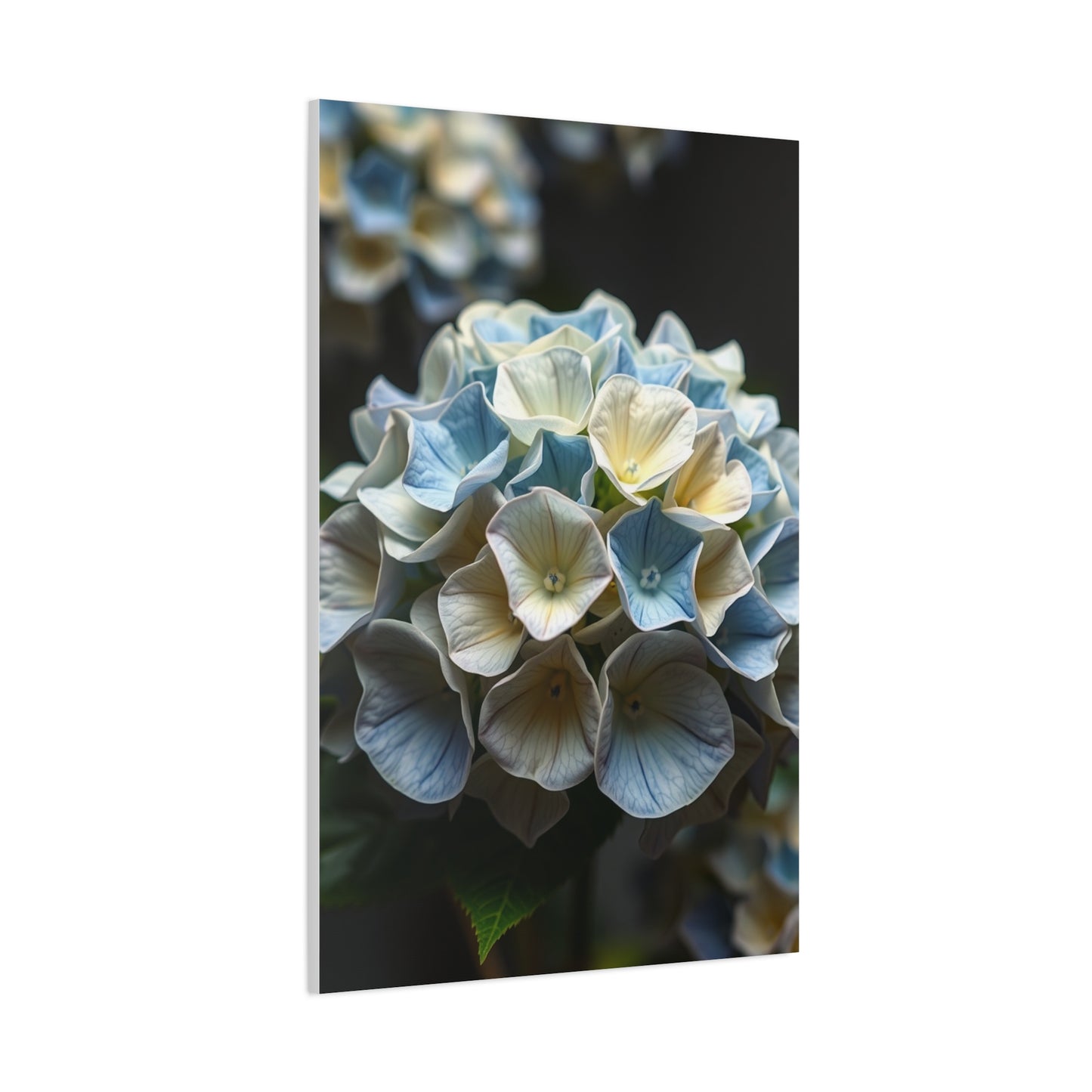 Masterpiece Hydrangea Flower Art Vision Wall Art & Canvas Print