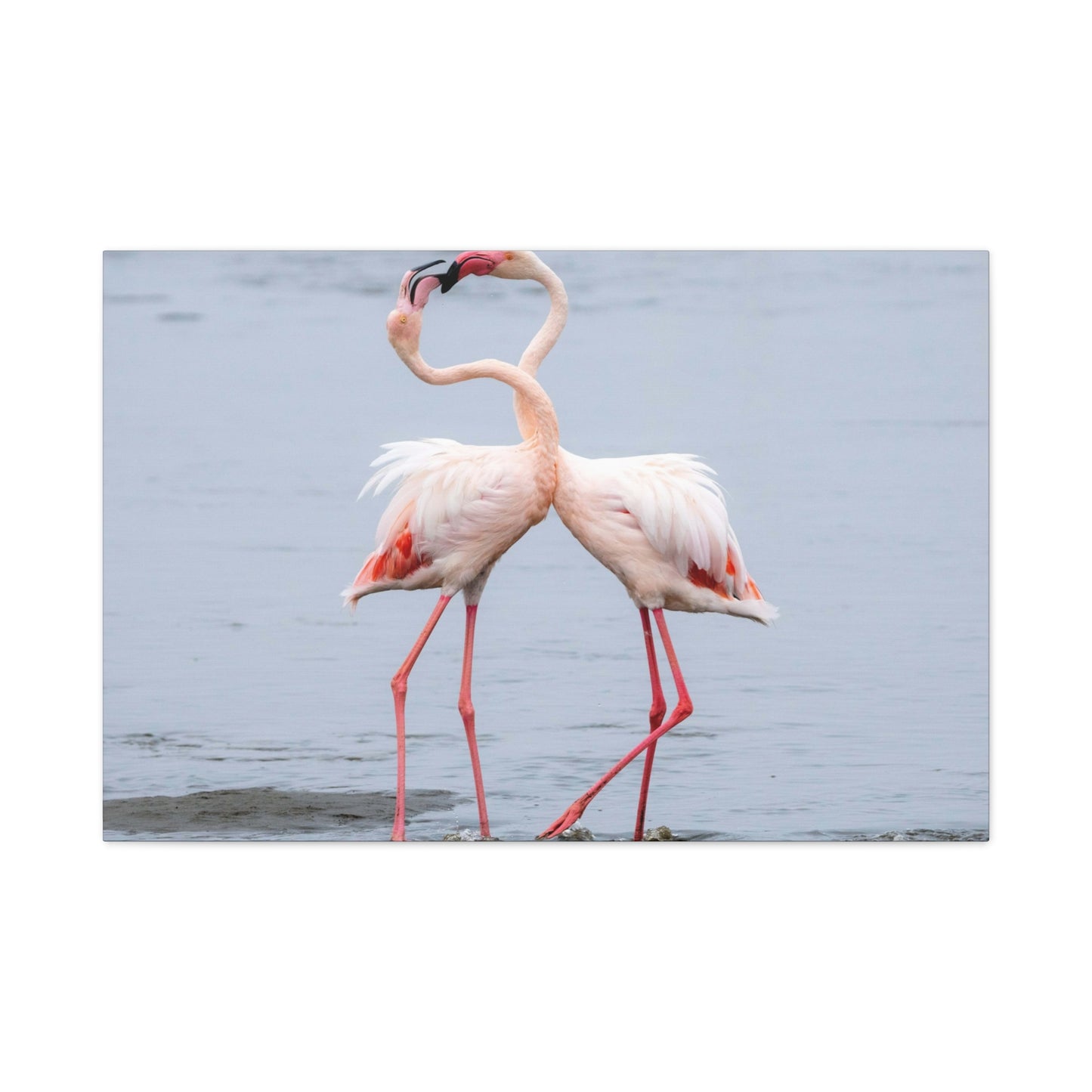 Pink Flamingo Love Wall Art & Canvas Prints
